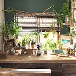 DIY×Green/DIY/hygge/植物のある暮らし/urbanjungle...などのインテリア実例 - 2019-10-20 16:37:34