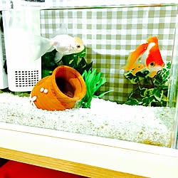 リビング/金魚の水槽/金魚と暮らすのインテリア実例 - 2016-09-19 18:51:54