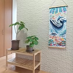 玄関/入り口/観葉植物のある暮らし/夏/手拭いタペストリー/てぬぐいタペストリー...などのインテリア実例 - 2023-07-07 11:56:49