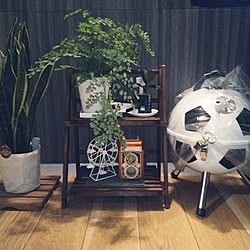 リビング/観葉植物のある暮らし/観葉植物/雑貨/アンティーク...などのインテリア実例 - 2023-07-22 00:35:33