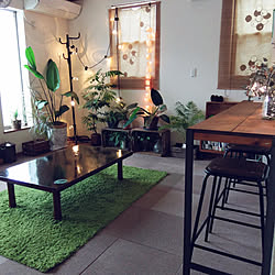 部屋全体/観葉植物/カウンターテーブル/アンティーク木箱/ちょっとだけドライフラワー...などのインテリア実例 - 2019-07-16 16:56:23