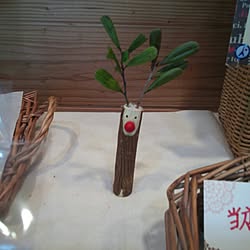 手作り/雑貨/植物/クリスマス小物のインテリア実例 - 2013-12-12 20:23:19