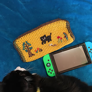 余り毛糸/switchカバー手作り/任天堂SWITCH/猫とインテリア/保護猫...などのインテリア実例 - 2020-01-13 17:04:48