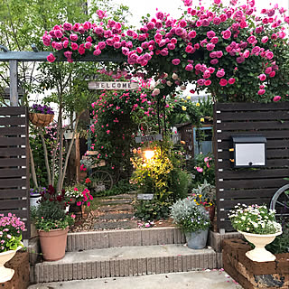 ガーデンフェンス♡薔薇 ナチュラル カントリー ガーデニング 雑貨 花 ピック ガーデンフェンス♡薔薇 ナチュラル カントリー ガーデニング 雑貨 花