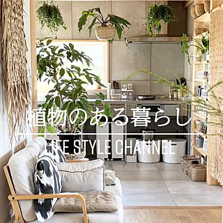 グリーンのある生活/植物と暮らす/植物のある生活/名古屋モザイク/名古屋モザイクタイル...などのインテリア実例 - 2023-03-28 20:33:37