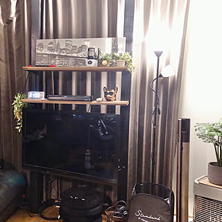 観葉植物/テレビ周り/よるをたのしむ/掃除機置き場/コレ、DIYしたよ！...などのインテリア実例 - 2021-05-24 01:54:40