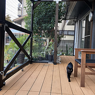 猫対策/黒猫/catio/中古を買ってリノベーション/ウッドデッキDIY...などのインテリア実例 - 2021-09-23 06:29:18