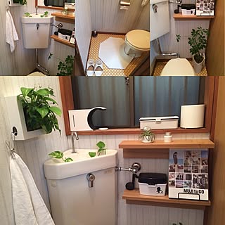 バス/トイレ/カポック/ポトス/トイレットペーパー型消臭機/ゼクシィ付録...などのインテリア実例 - 2016-06-12 20:43:54