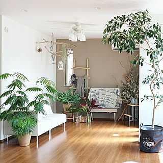 部屋全体/植物/日替わり投稿企画!木曜日/観葉植物/NO GREEN NO LIFE...などのインテリア実例 - 2017-07-20 21:30:25