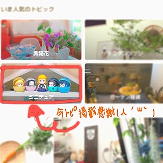 部屋全体/ミニチュア/お気に入り/癒し/salut!...などのインテリア実例 - 2023-06-17 11:14:37