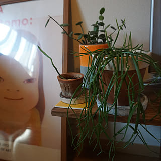 植木鉢ペイント/植木鉢/DIY/一人暮らし/植物のある暮らし...などのインテリア実例 - 2020-02-24 08:24:55