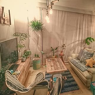 部屋全体/DIY/niko and…/観葉植物/エバーフレッシュ...などのインテリア実例 - 2017-03-29 21:35:24