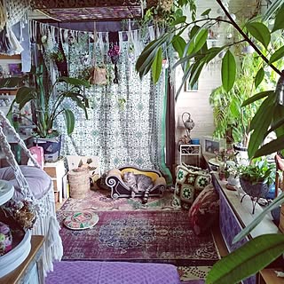 部屋全体/好きなものに囲まれて暮らす/観葉植物/花が好き/物が多い我が家...などのインテリア実例 - 2023-05-01 11:09:13