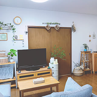 部屋全体/いなざうるす屋さん/ホンコンカポック/ウンベラータ/築20年でもがんばる...などのインテリア実例 - 2017-09-05 07:03:59