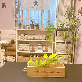 窓枠風DIY/ワイン箱/インスタントコーヒーの空き瓶/多肉をお部屋に/観葉植物...などのインテリア実例 - 2021-05-08 13:29:13