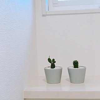 cactus/plants/Cainz/トイレ/LIXILトイレ...などのインテリア実例 - 2020-07-15 13:40:30