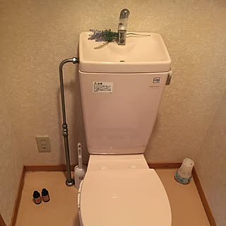 殺風景/掃除しやすいトイレにしたい/ラベンダーフェイク/フェイクフラワー/ロクシタンの容器で...などのインテリア実例 - 2019-04-09 15:22:54