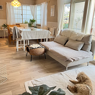 【未使用】IKEA ソーデルハムンコンパクト　カバー IKEA Soderhamn用ソファカバー - パフォーマンススリップカバー