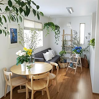 部屋全体/カーテン/シェードカーテン/NO GREEN NO LIFE/観葉植物...などのインテリア実例 - 2017-04-26 20:53:30