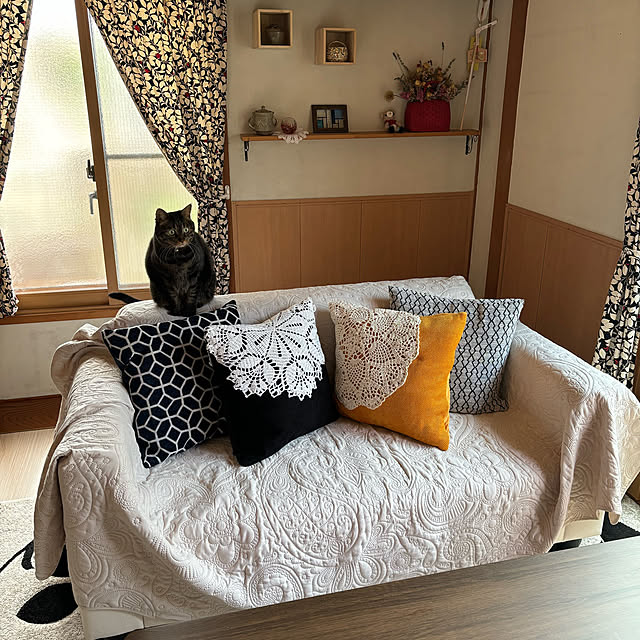 momocchiさんの実例写真