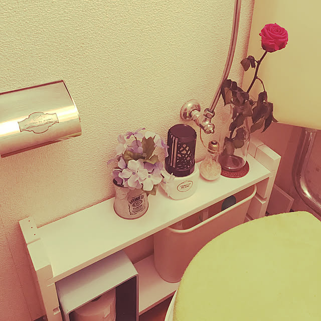piyopiyoさんの実例写真