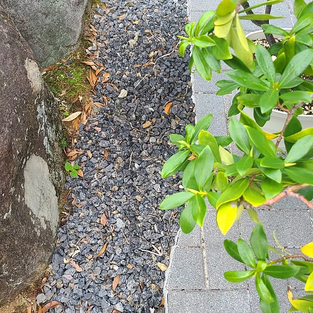 Rubiconさんの部屋