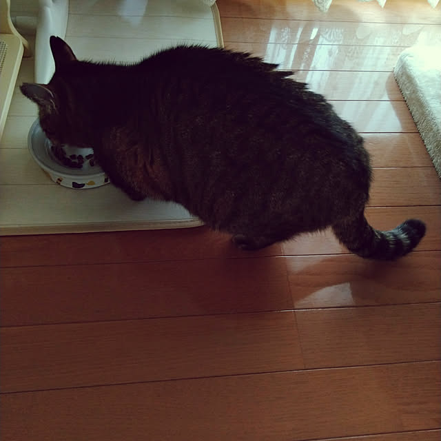 lilyさんの実例写真