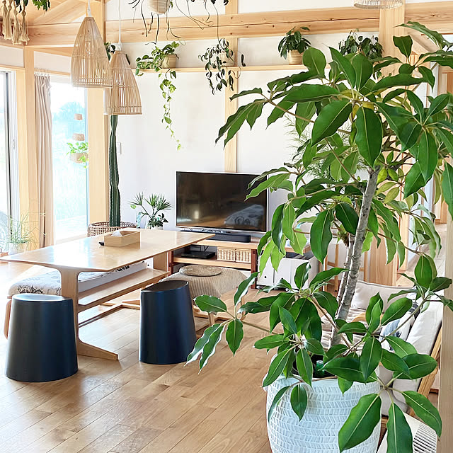 縁側のある暮らし/縁側のある家/IKEA/リビングでもダイニングでも使えるシリーズ/リビングインテリア...などのインテリア実例 - 2022-09-24 17:30:58