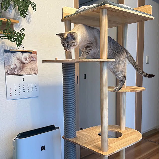 amさんの部屋