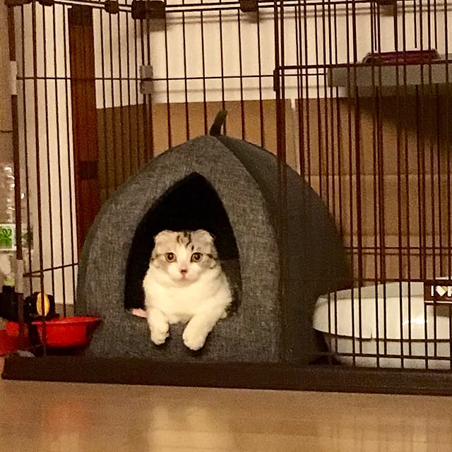 yokkochanさんの実例写真