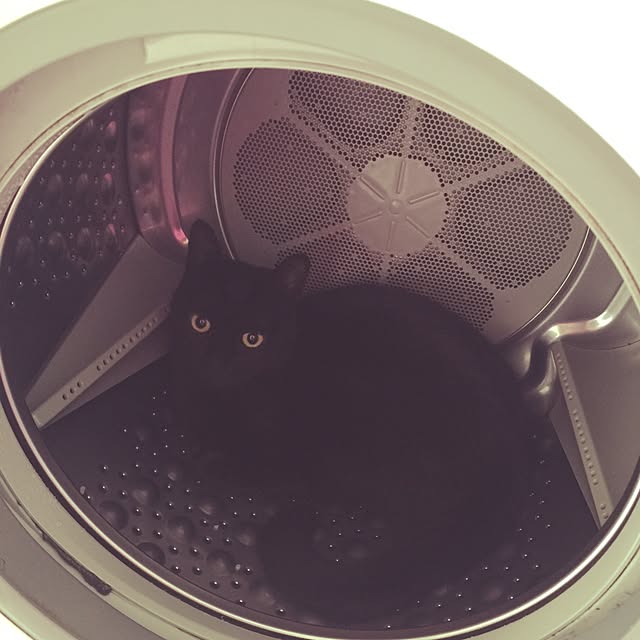 yuu_..さんの実例写真
