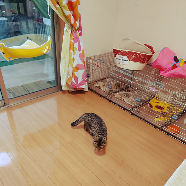 noguriさんの実例写真