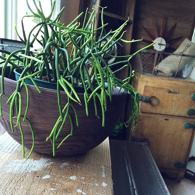 Megumiさんの実例写真