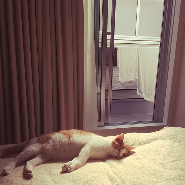 myk93さんの実例写真
