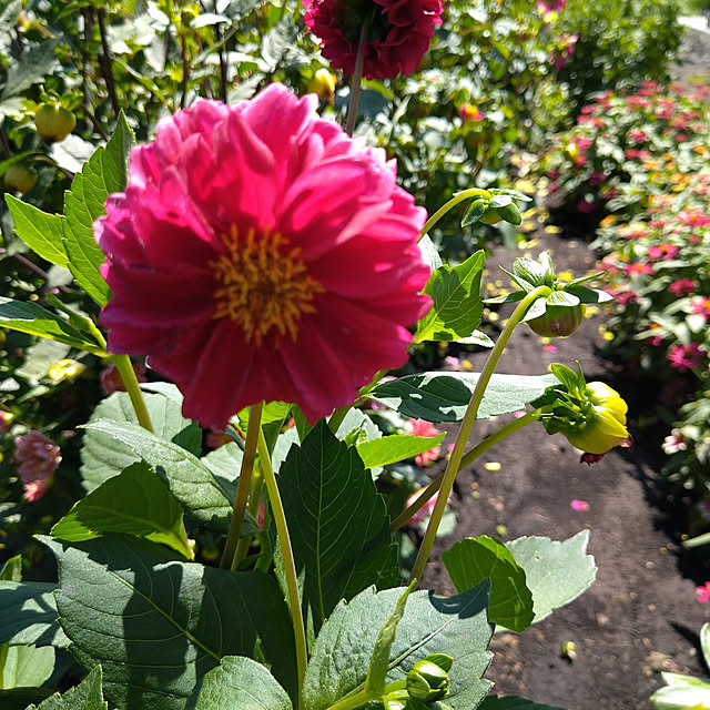 YUKO0108さんの実例写真