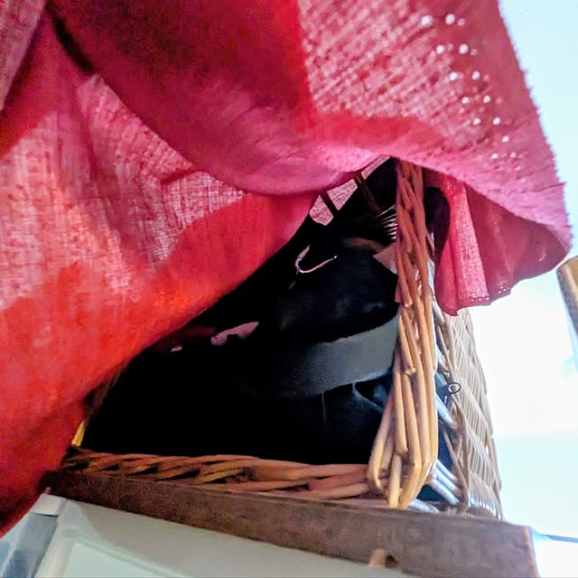mi-saさんの部屋
