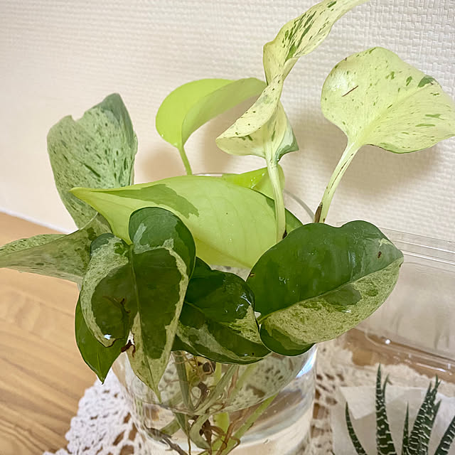 YuuKoさんの部屋