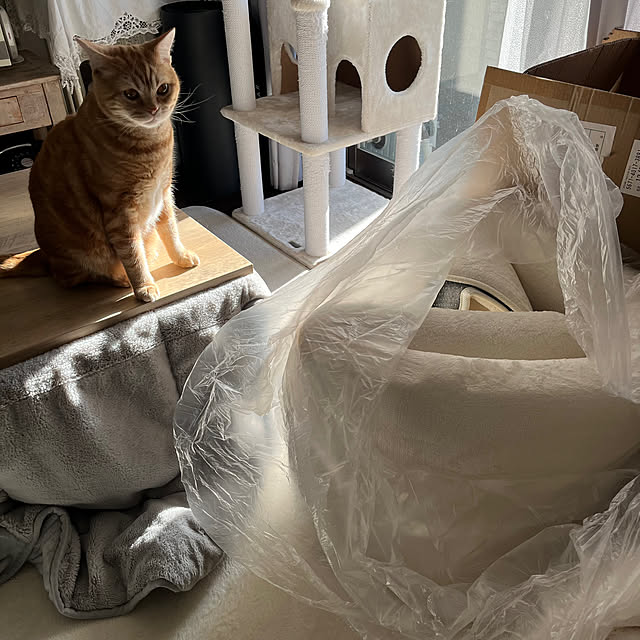 Atelier.mさんの実例写真