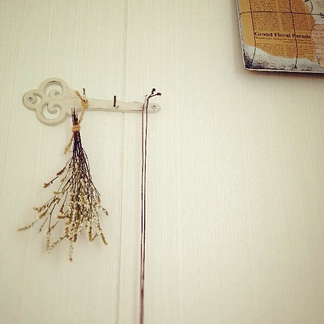 rookuさんの実例写真