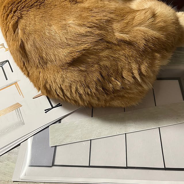 Atelier.mさんの実例写真