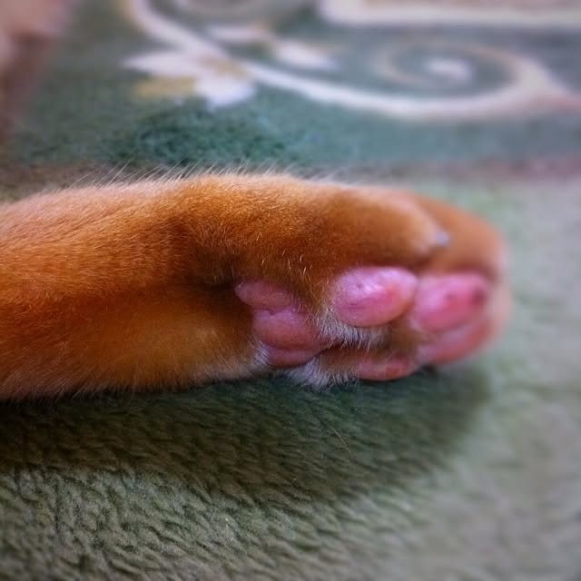 sachiさんの実例写真