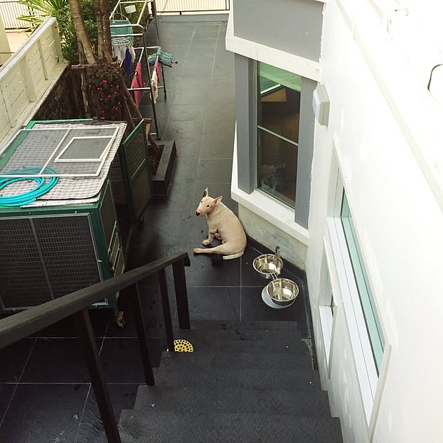 Thammaratさんの実例写真