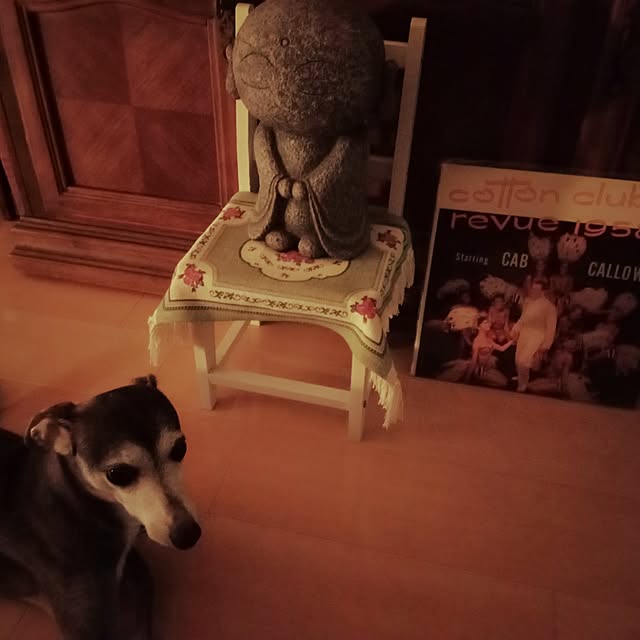 moruさんの部屋