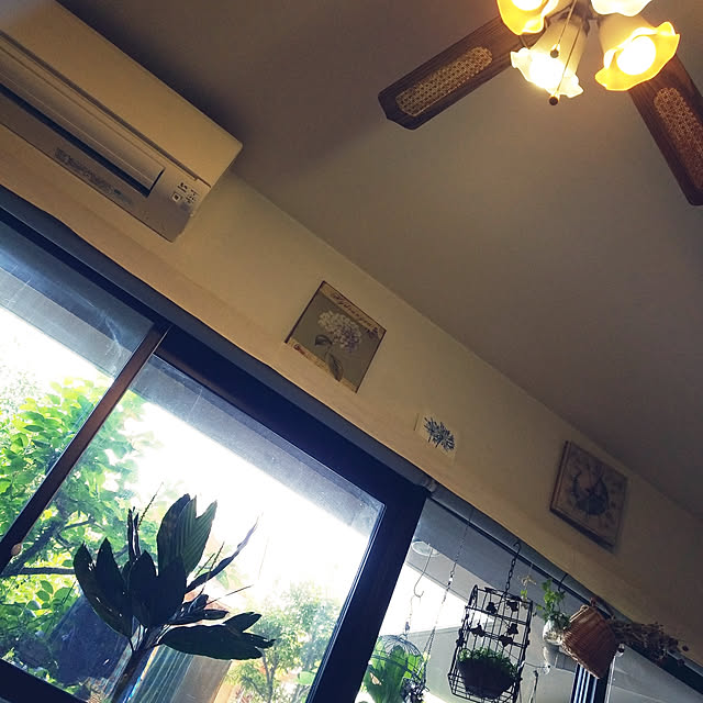 shinkoukei-hahaさんの実例写真