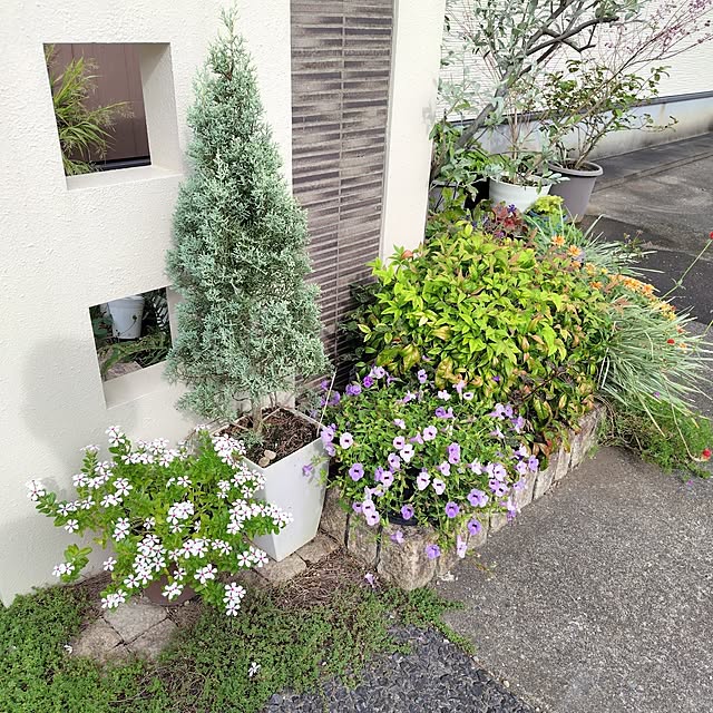 mutsuさんの実例写真
