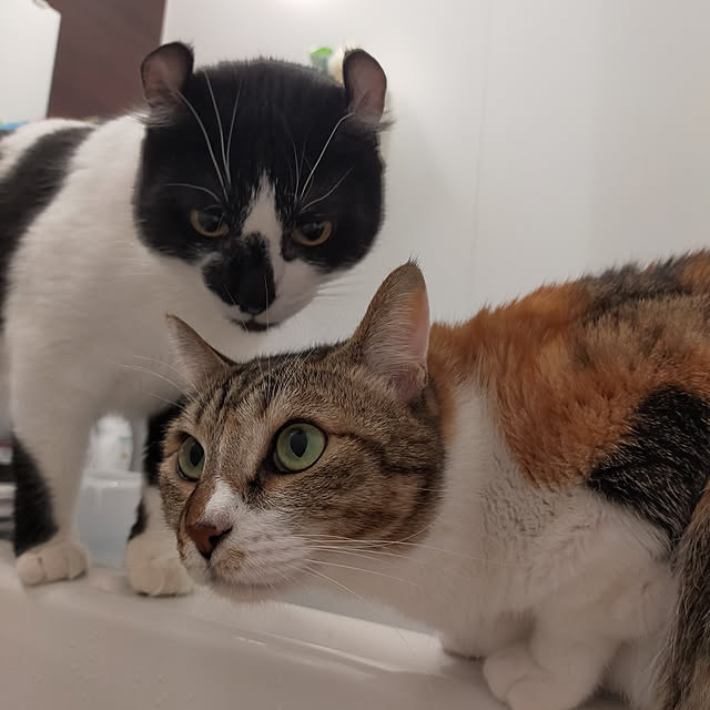 nnk.akさんの実例写真