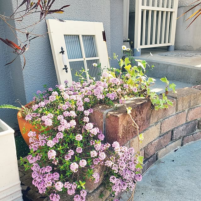 pinkpho050さんの実例写真