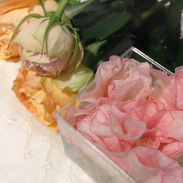 marikaさんの実例写真