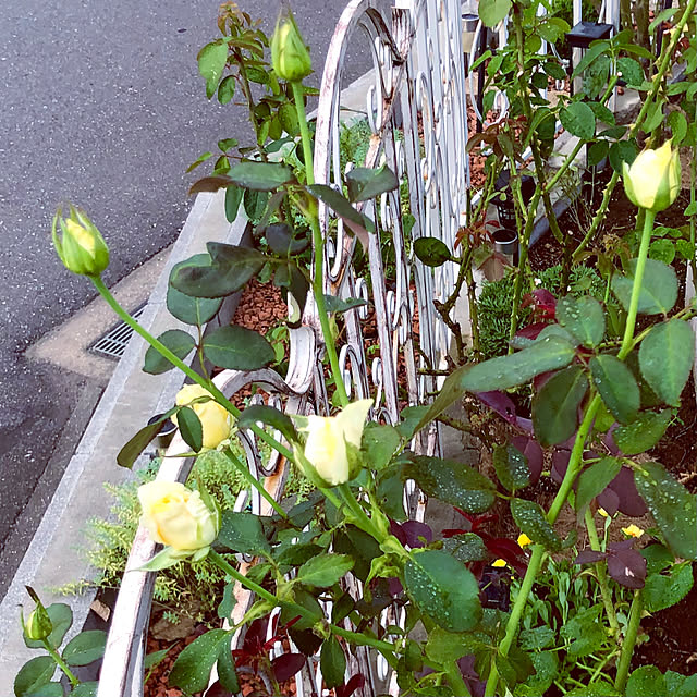 tomoさんの部屋