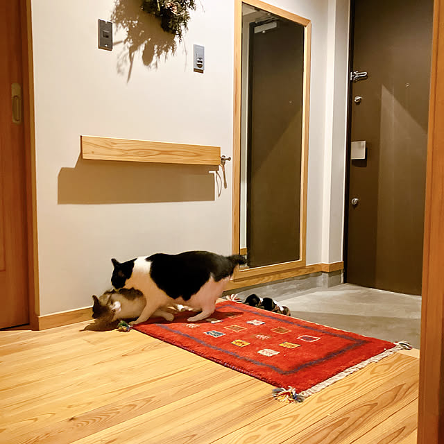 conmichanさんの部屋